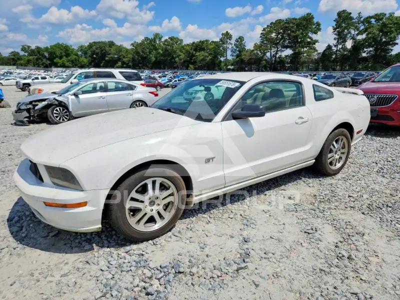 2005 Ford MUSTANG photo