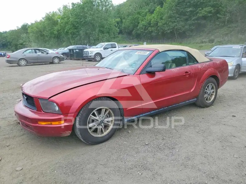 2005 Ford MUSTANG фото