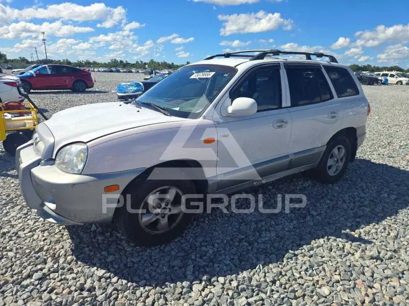2005 Hyundai Santa Fe photo
