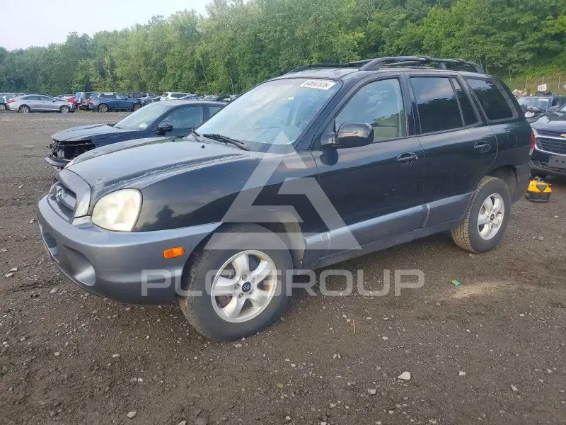 2005 Hyundai Santa Fe фото