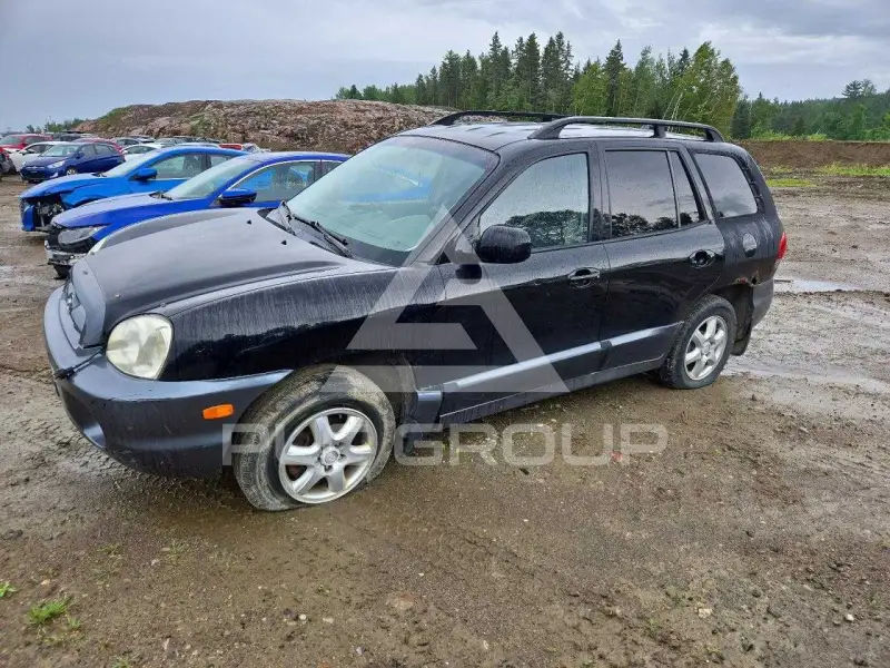 2005 Hyundai Santa Fe фото