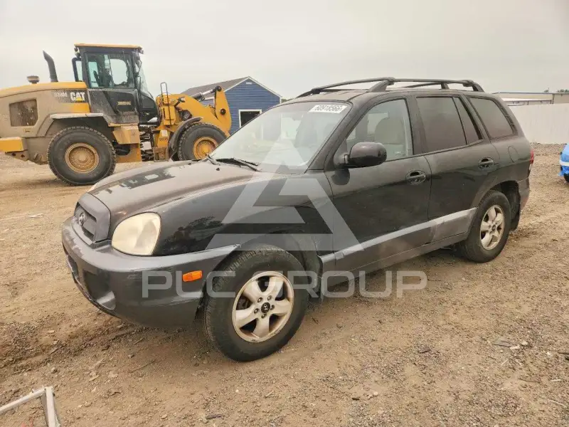 2005 Hyundai Santa Fe photo