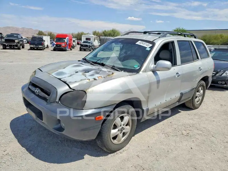 2005 Hyundai Santa Fe photo