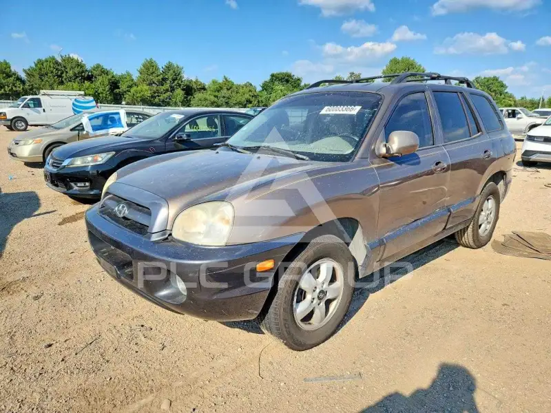2005 Hyundai Santa Fe photo