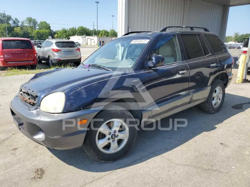 2005 Hyundai Santa Fe photo