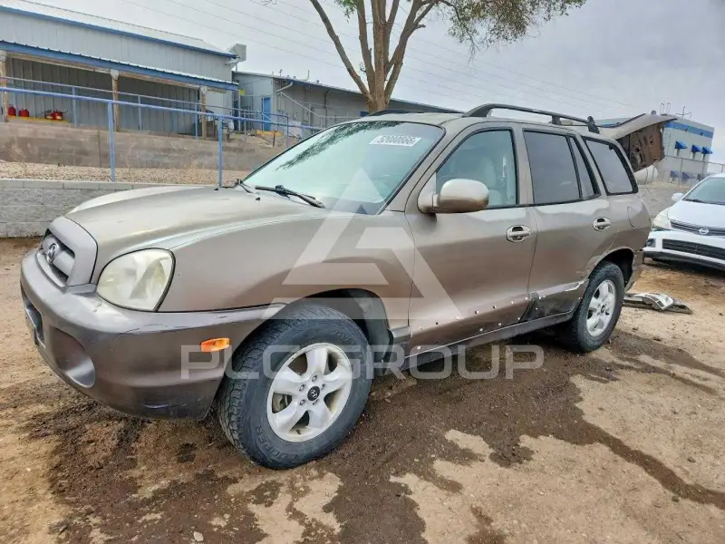 2005 Hyundai Santa Fe фото