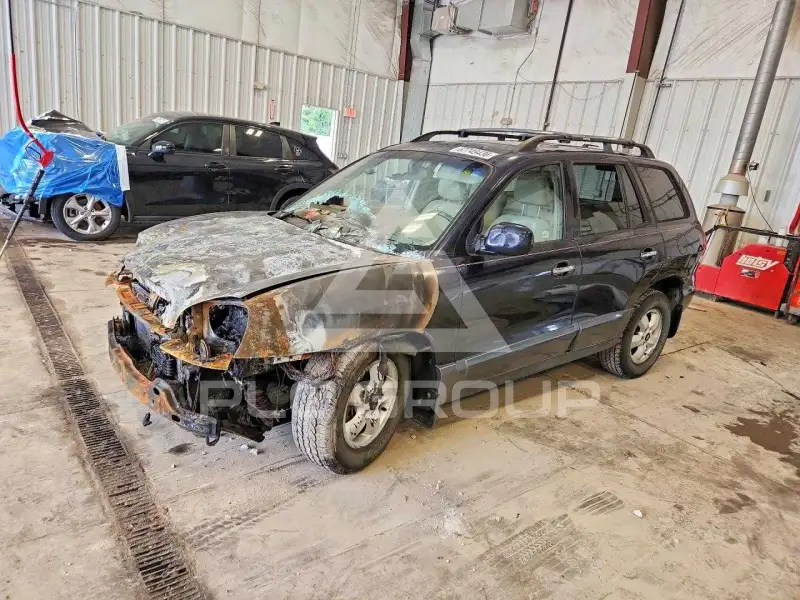 2005 Hyundai Santa Fe фото