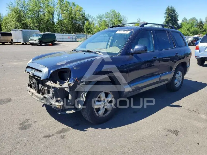 2005 Hyundai Santa Fe photo