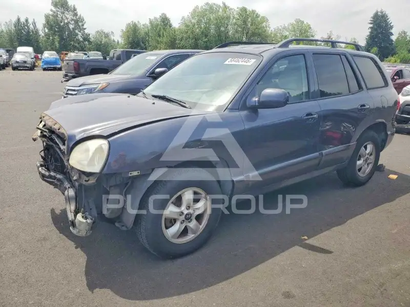 2005 Hyundai Santa Fe photo