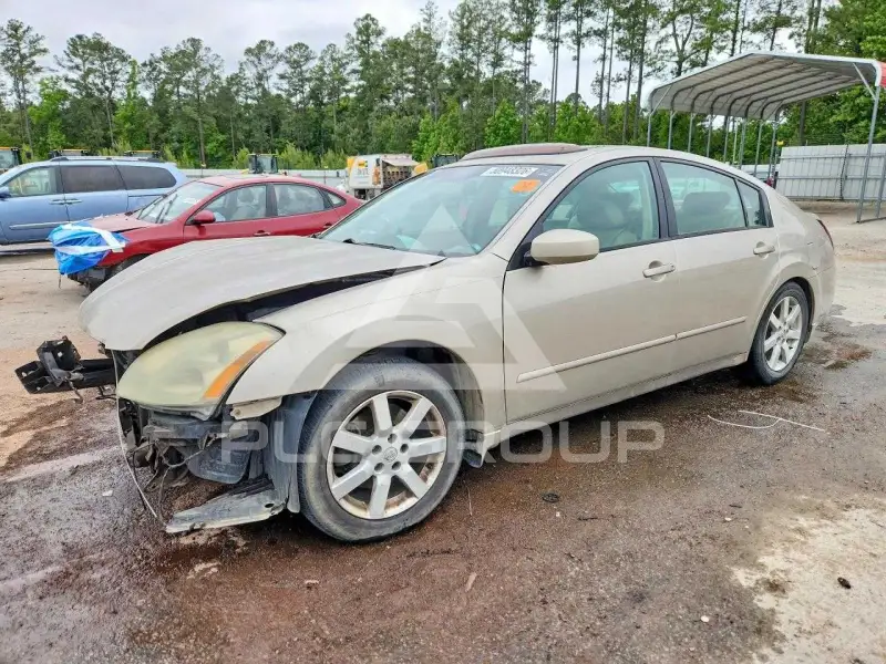 2006 Nissan MAXIMA фото