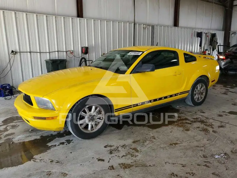 2006 Ford MUSTANG photo