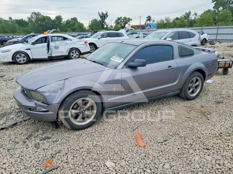 2006 Ford MUSTANG photo