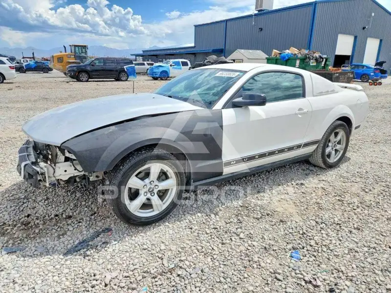 2006 Ford MUSTANG фото