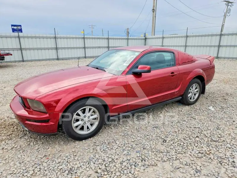2006 Ford MUSTANG фото