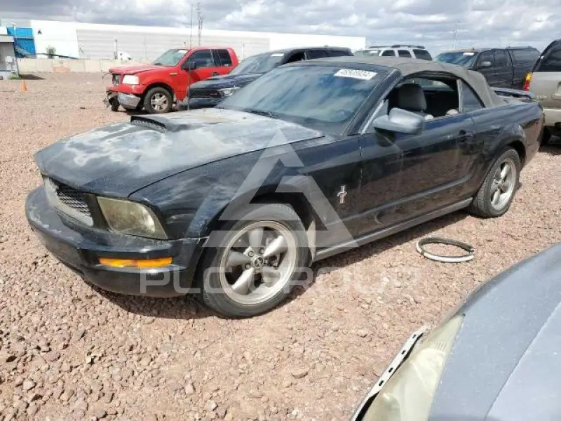 2006 Ford MUSTANG photo