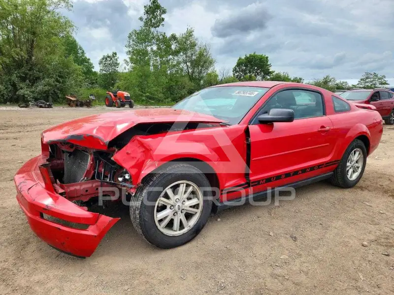 2006 Ford MUSTANG photo