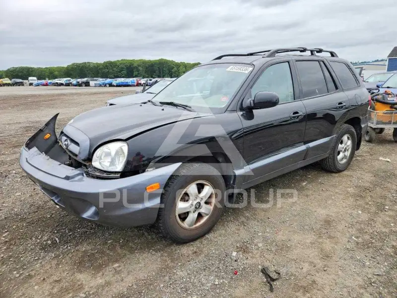 2006 Hyundai Santa Fe photo