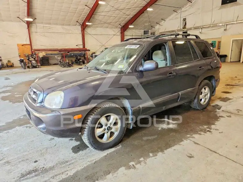 2006 Hyundai Santa Fe фото