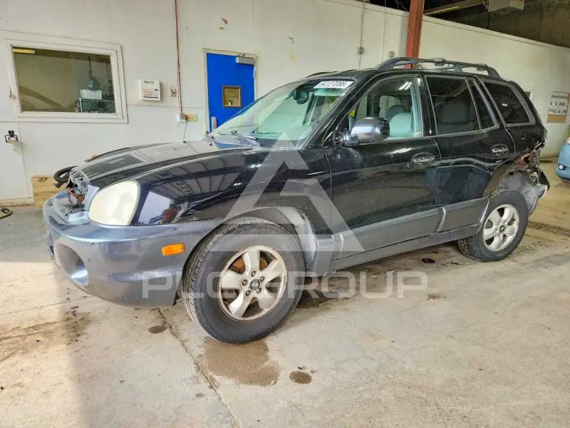 2006 Hyundai Santa Fe фото