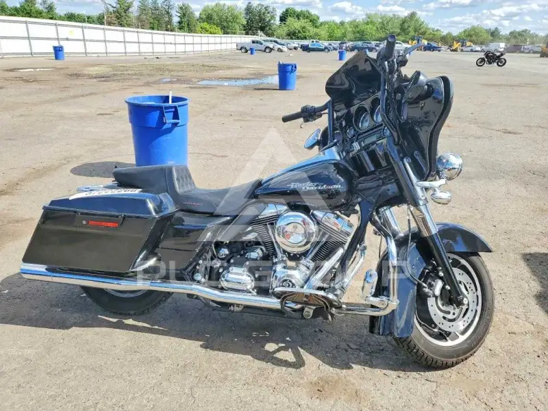 2007 Harley-Davidson FL фото