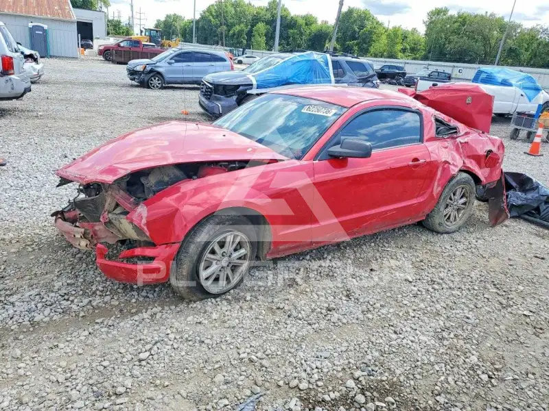 2007 Ford MUSTANG фото
