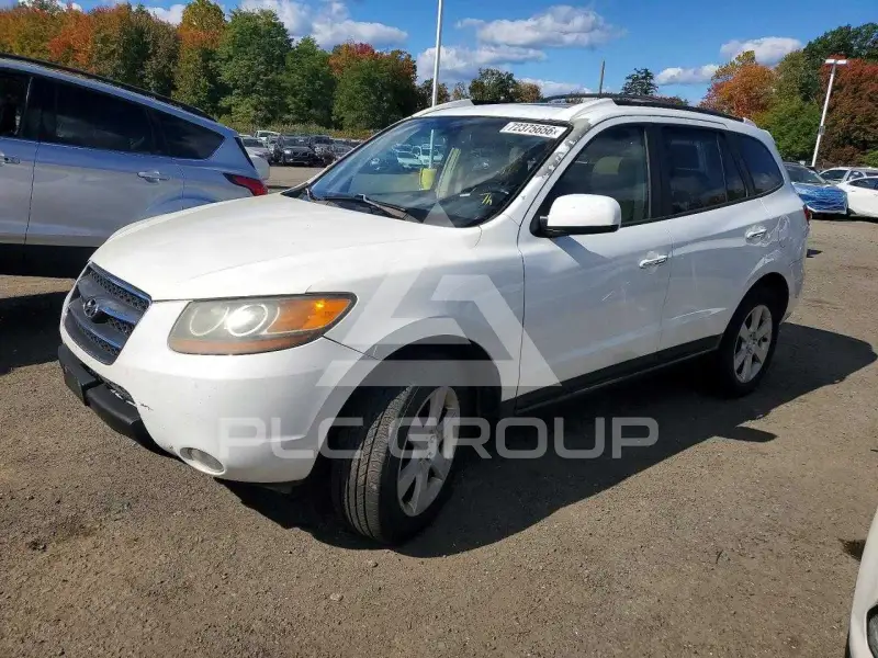 2007 Hyundai Santa Fe photo