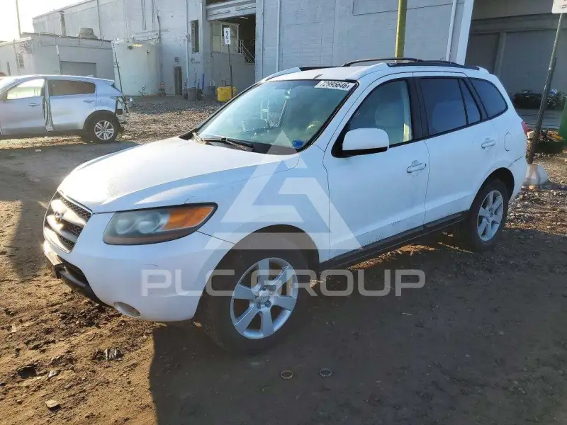 2007 Hyundai Santa Fe photo