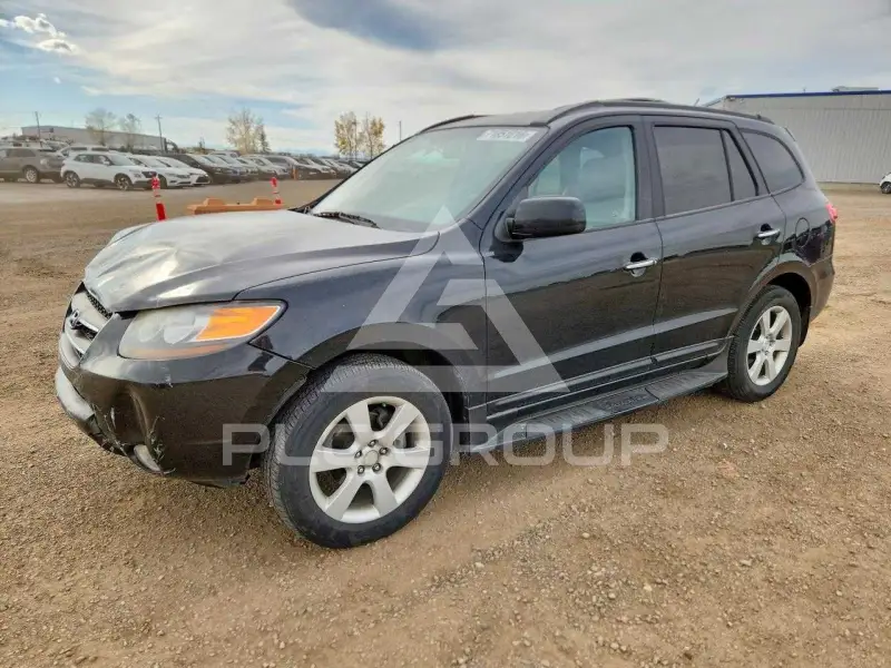2007 Hyundai Santa Fe фото