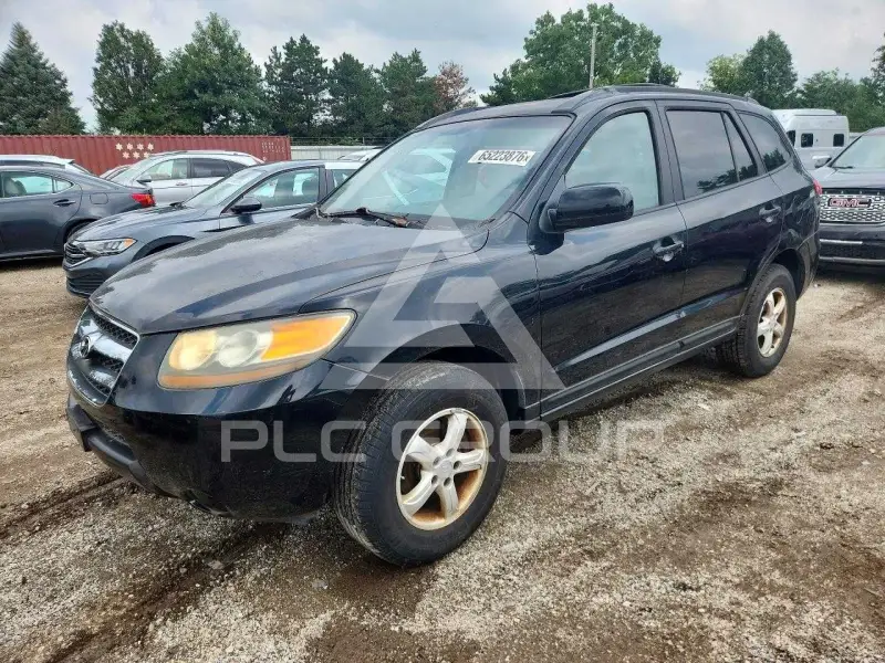 2007 Hyundai Santa Fe фото