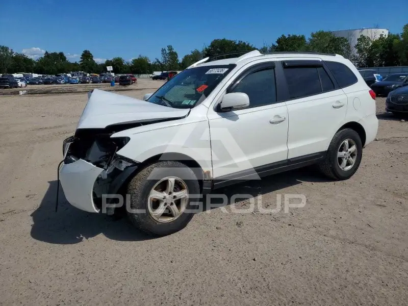 2007 Hyundai Santa Fe фото