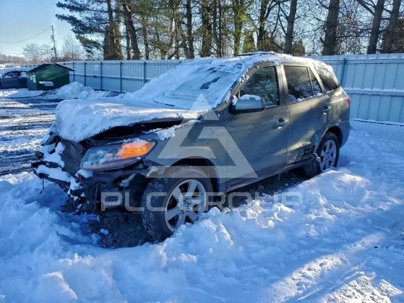 2007 Hyundai Santa Fe фото