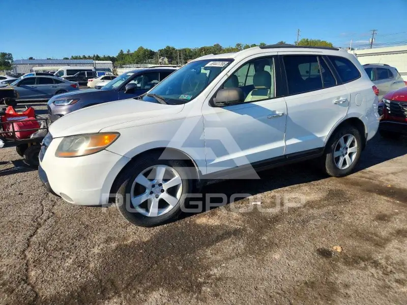2007 Hyundai Santa Fe фото