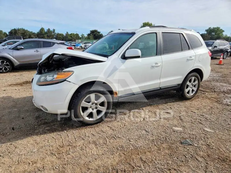 2007 Hyundai Santa Fe фото