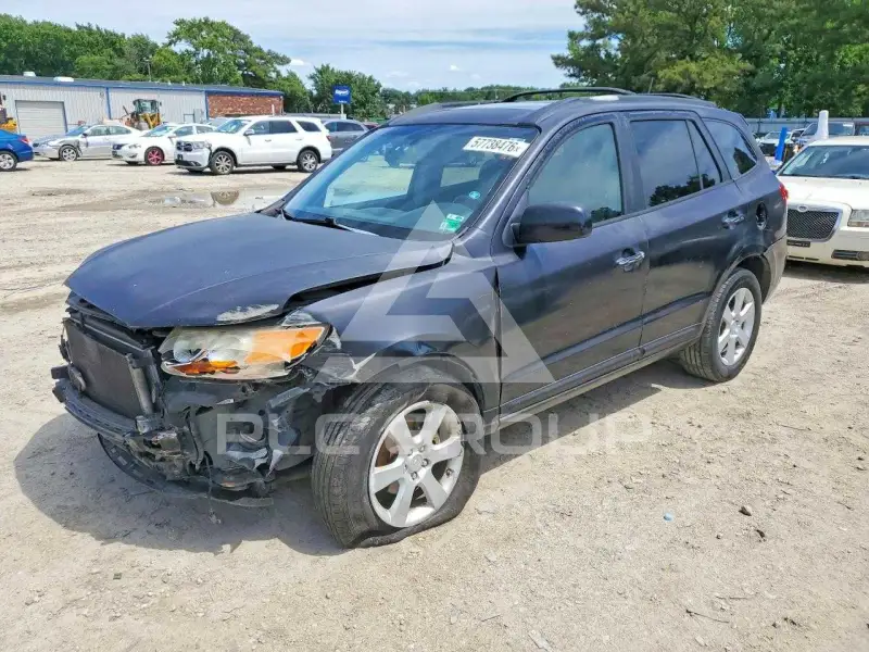 2007 Hyundai Santa Fe фото