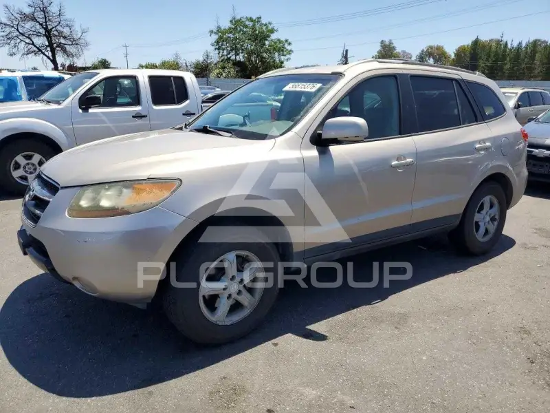 2007 Hyundai Santa Fe фото