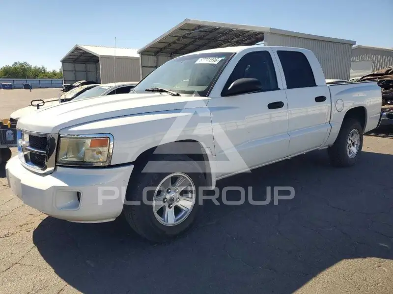 2008 Dodge DAKOTA photo