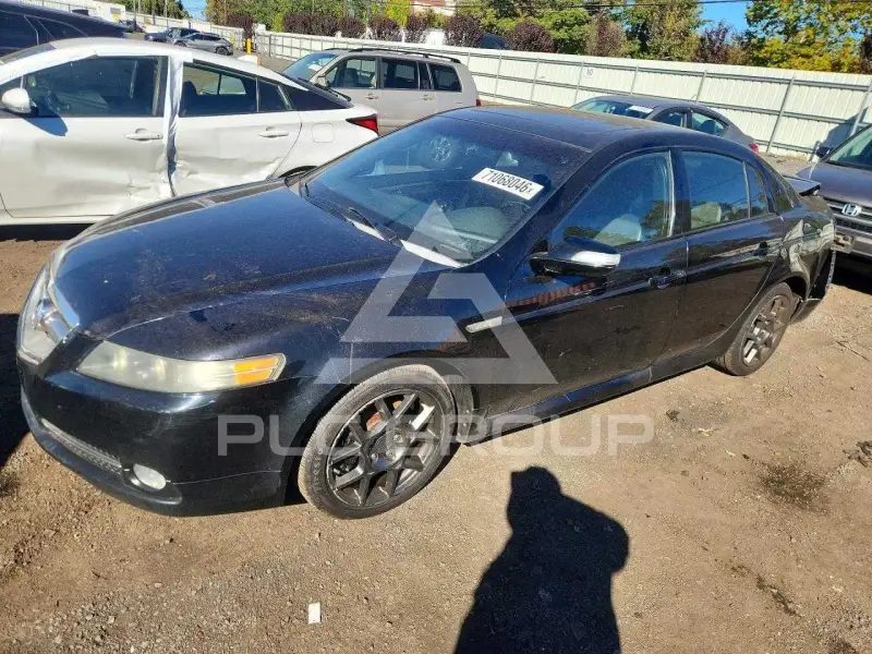2008 Acura TL photo