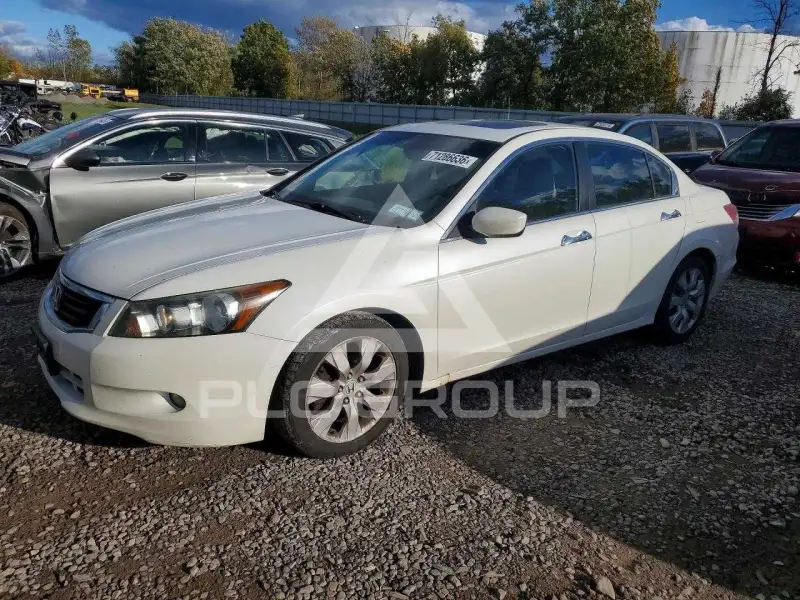 2008 Honda Accord фото