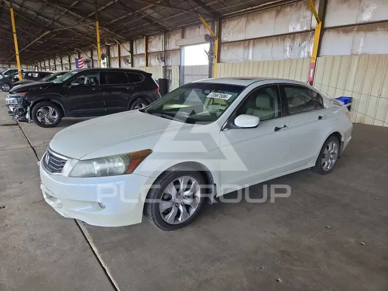2008 Honda Accord фото