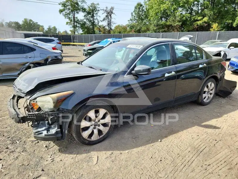 2008 Honda Accord фото