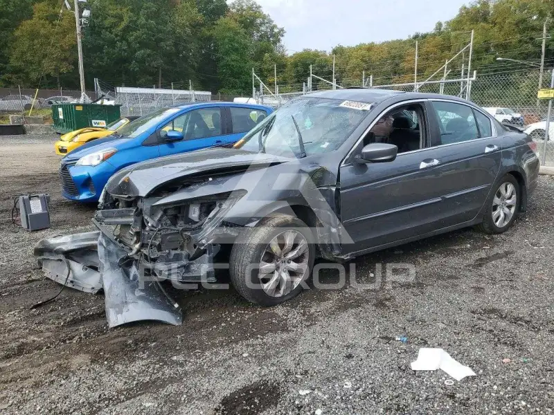 2008 Honda Accord photo
