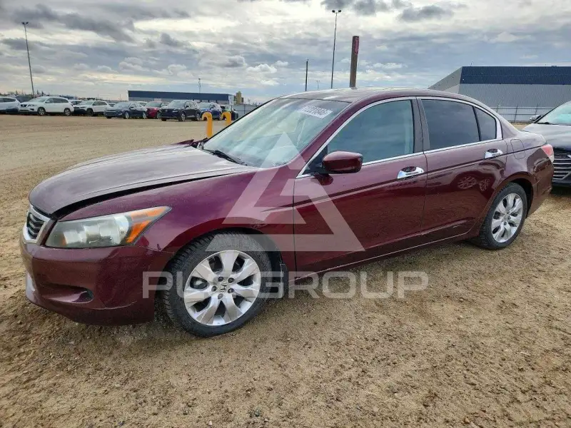 2008 Honda Accord photo