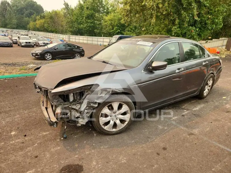 2008 Honda Accord photo