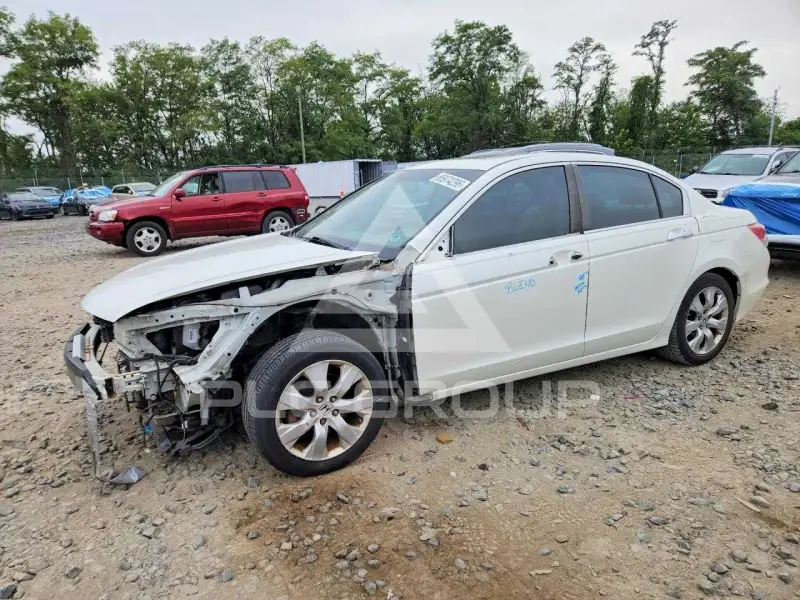 2008 Honda Accord photo