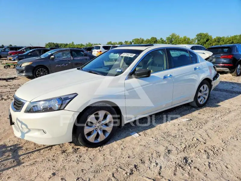 2008 Honda Accord фото