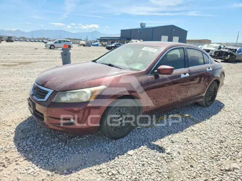2008 Honda Accord photo