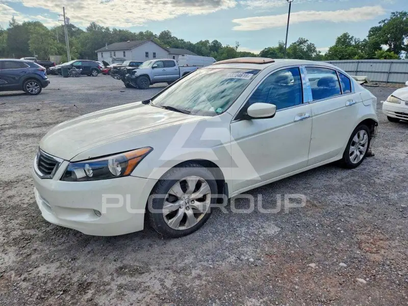 2008 Honda Accord photo