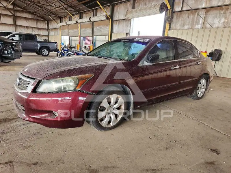 2008 Honda Accord photo