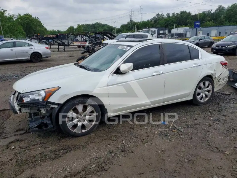 2008 Honda Accord photo