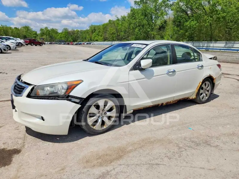2008 Honda Accord фото